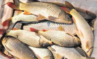 㡢׿Ƕ嶯Ｐˮ޼׵