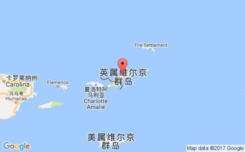 ӢάȺۿ:жtortolaۿڴVGTOR