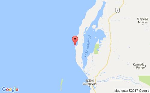 ĴǸۿ:άgape cuvierۿڴAUCCU